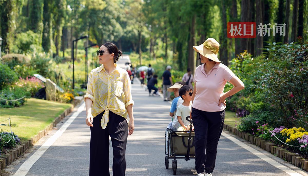 免费试玩糖果